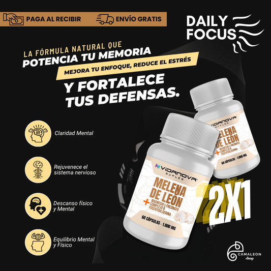 DailyFocus Melena de León Fortificada – Enfoque y energía para cada día