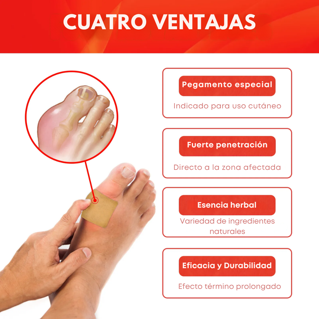 ArtroFlex (pack x5) - Alivio diario para tus articulaciones