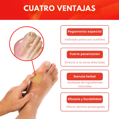 ArtroFlex (pack x5) - Alivio diario para tus articulaciones