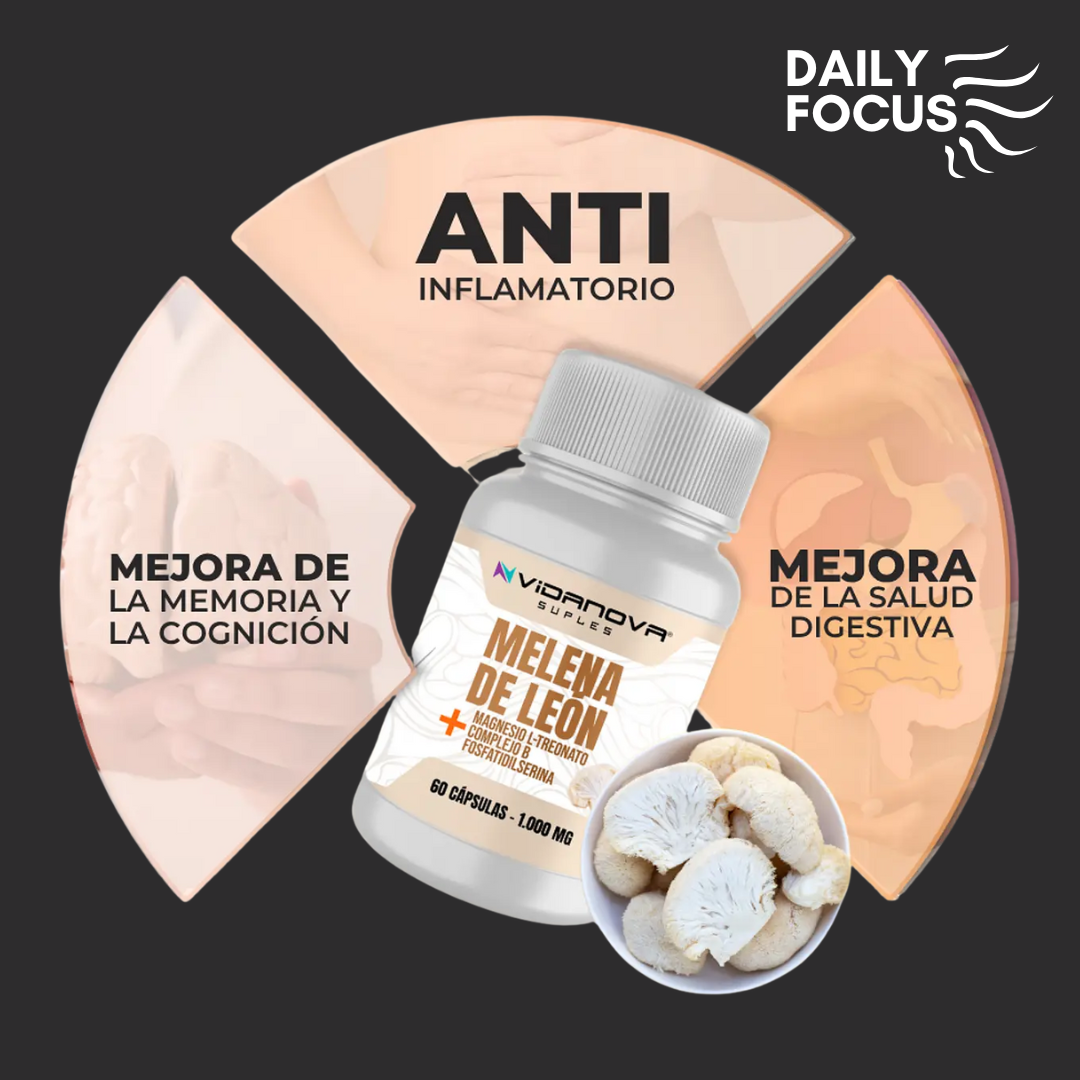 DailyFocus Melena de León Fortificada – Enfoque y energía para cada día